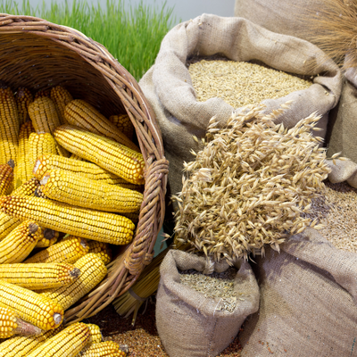 How to Import Agricultural Products from India: Step-by-Step Guide